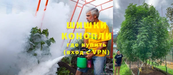 ALPHA PVP Богородицк