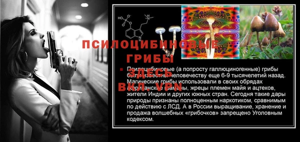 ALPHA PVP Богородицк